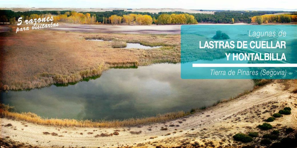 Lagunas de Lastras de Cuéllar y Hontalbilla