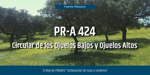 PR-A 424. Circular de los Ojuelos Bajos y Ojuelos Altos.