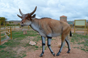 Dinoexperience-El-Pobo-jirafa-web