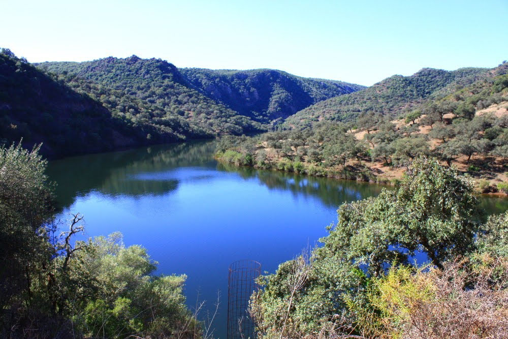 Sendero del Bembezar 4