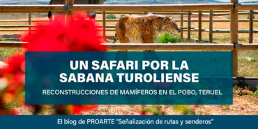 blog_safari_nuevo